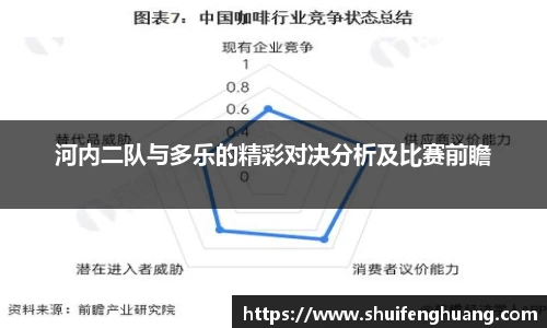 河内二队与多乐的精彩对决分析及比赛前瞻